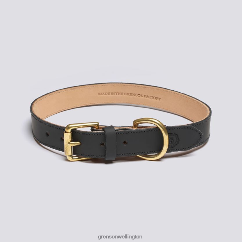 Unisex Black LARGE DOG COLLAR Grenson R46060545 Dog Accessories