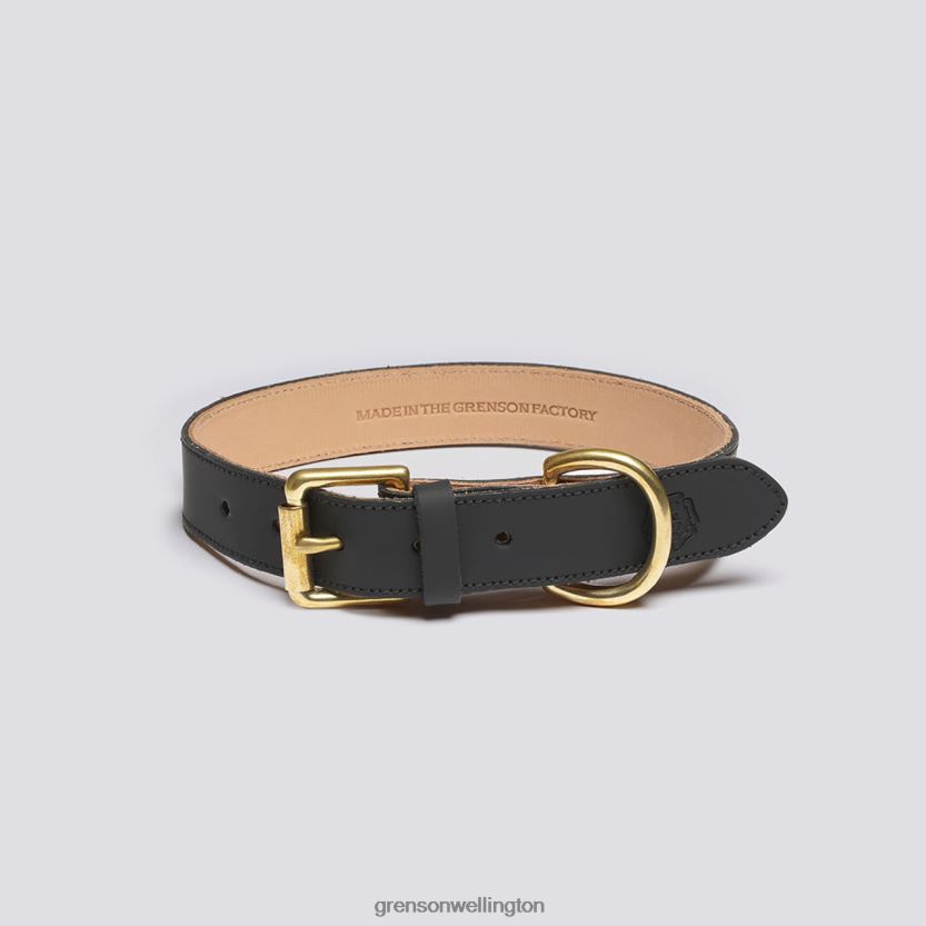 Unisex Black MEDIUM DOG COLLAR Grenson R46060547 Dog Accessories