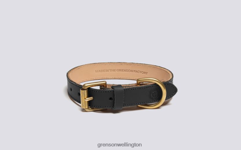Unisex Black SMALL DOG COLLAR Grenson R46060546 Dog Accessories