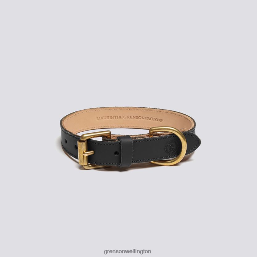 Unisex Black SMALL DOG COLLAR Grenson R46060546 Dog Accessories
