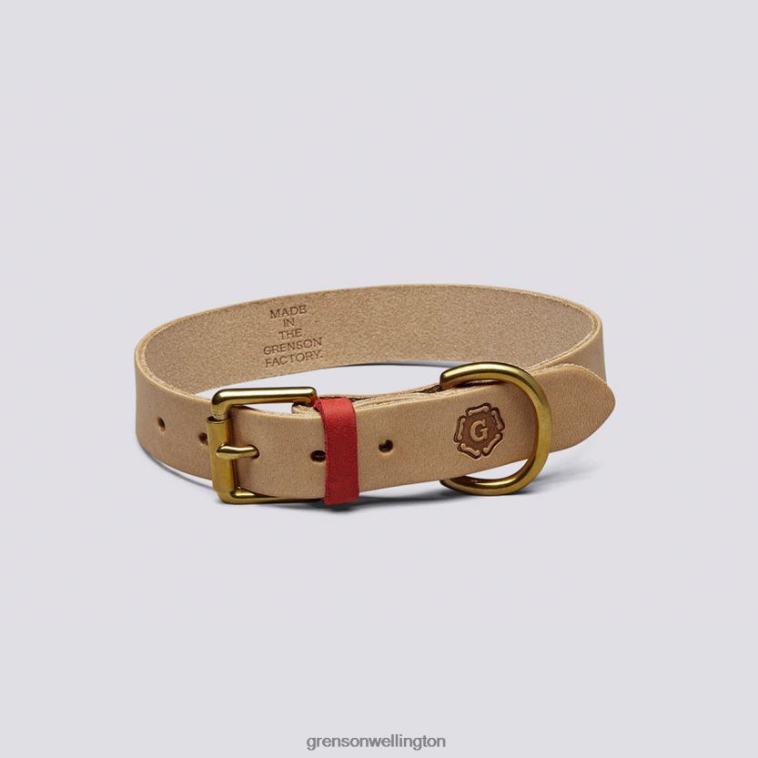 Unisex Soft LARGE DOG COLLAR Grenson R46060542 Dog Accessories