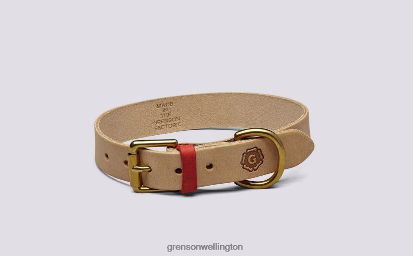 Unisex Soft MEDIUM DOG COLLAR Grenson R46060541 Dog Accessories