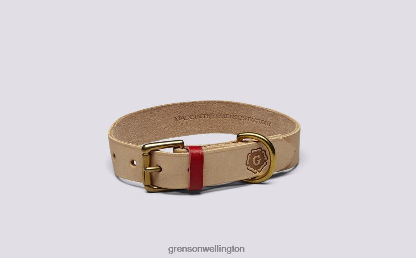 Unisex Soft SMALL DOG COLLAR Grenson R46060540 Dog Accessories